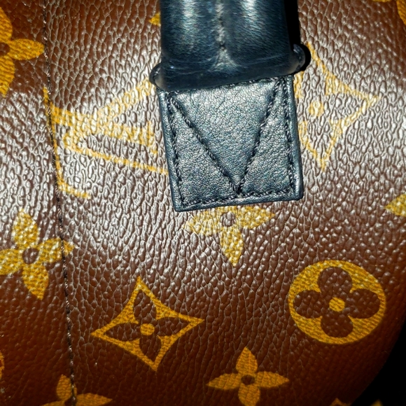 Louis Vuitton Mini Backpack - Picture 12 of 13